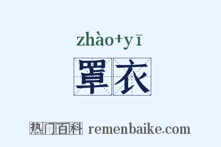 罩衣是什么意思的图片